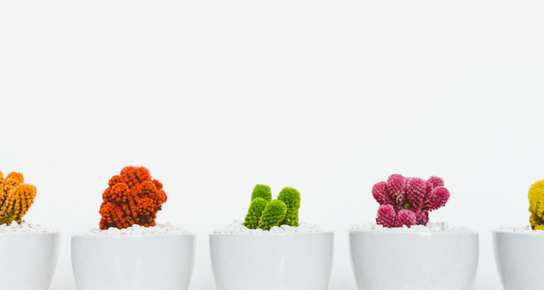 See the Top Interior Design Colour Trends for 2018 You Need To Follow_feat