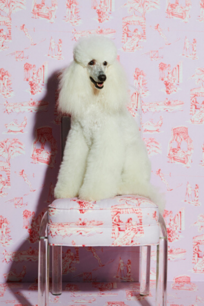 Sasha Bikoff's New Fabric Collection With Vervain Is To Die For!_4 (1)