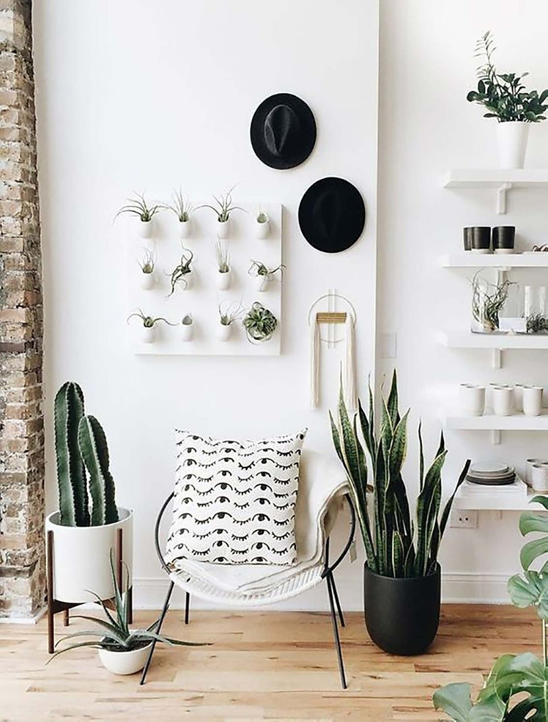 Home décor DIY ideas