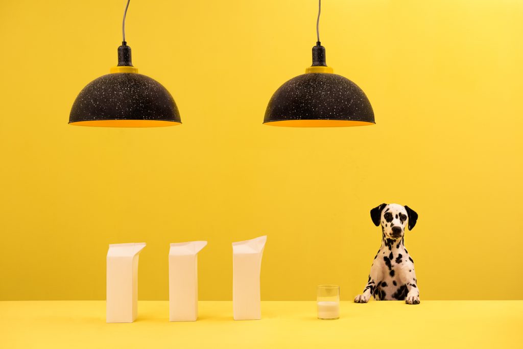 How Masquespacio Celebrates Beauty Through Art And Design_1